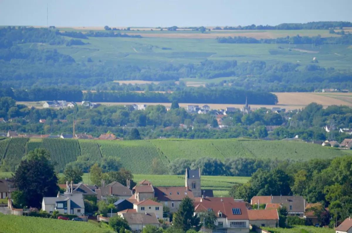 Agreable Maison Petit Jardin A 7 Minutes De Reims Pargny-les-Reims Exterior foto